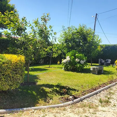 Ribeiro * Vila Praia de Âncora